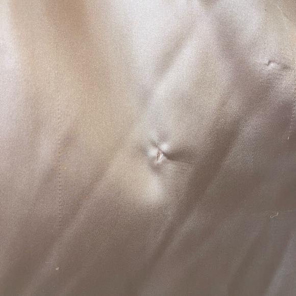 Portia and Scarlett Dana Gown in Champagne - Picture 10 of 11